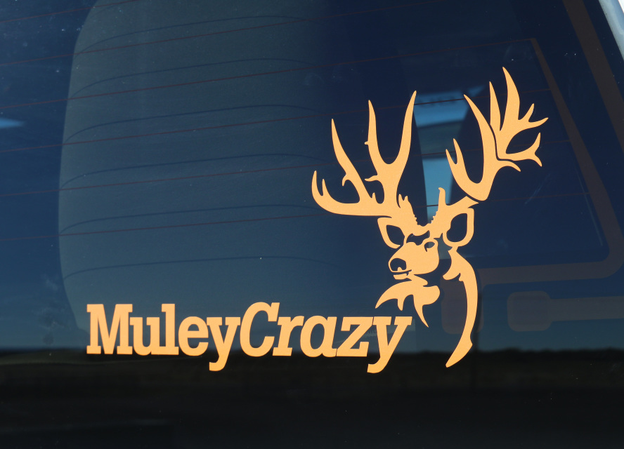 MuleyCrazy Custom 20oz Yeti Tumbler w/ Mag Lid